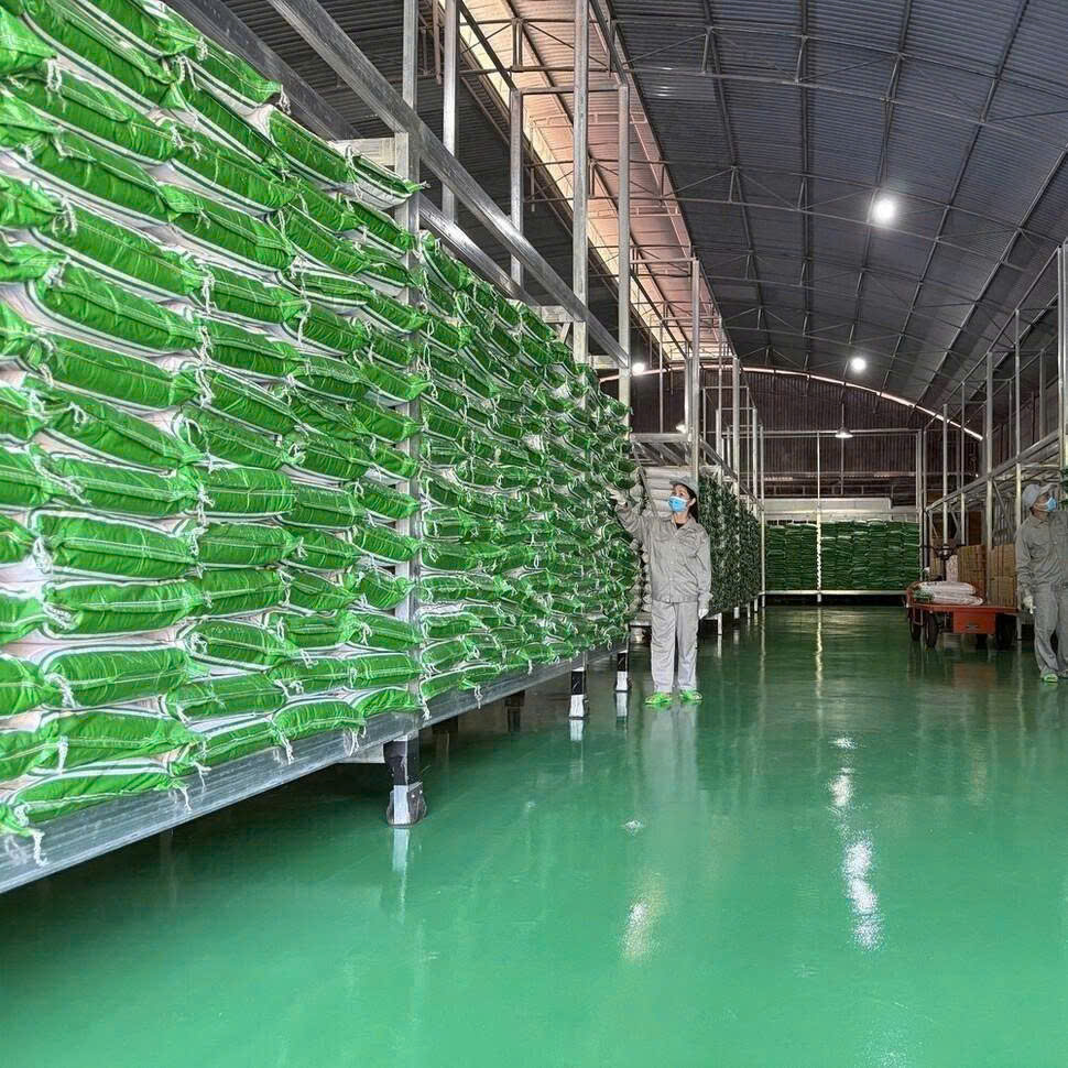 Năng lực cung ứng đáp ứng cho nhu cầu trong nước và xuất khẩu