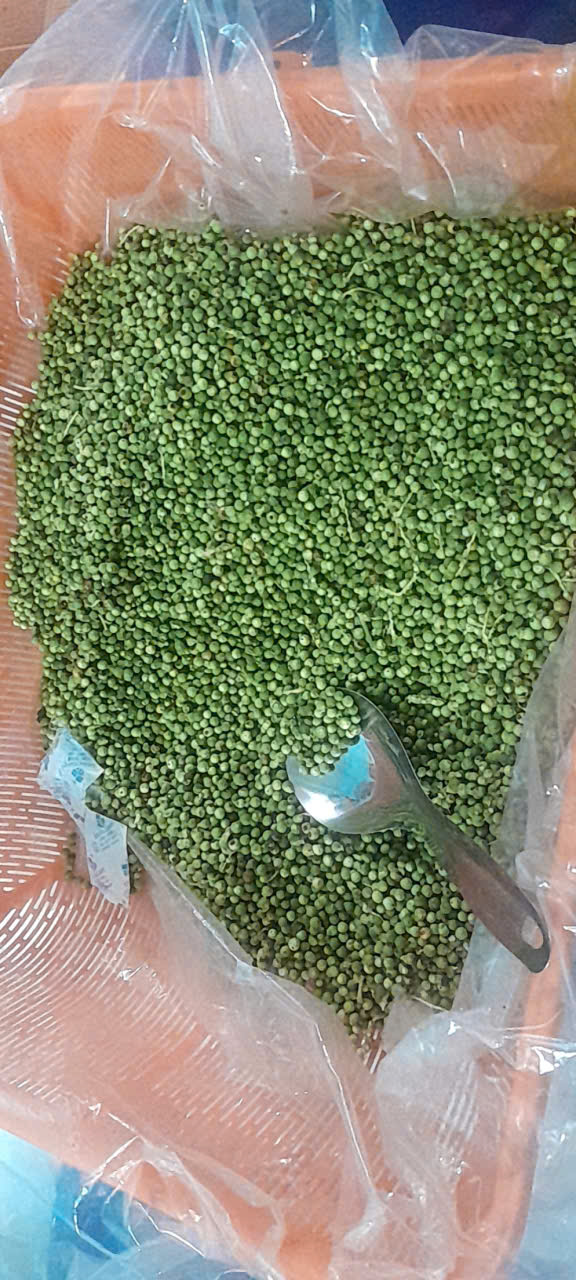 Hạt tiêu xanh sấy thăng hoa nguyên hạt